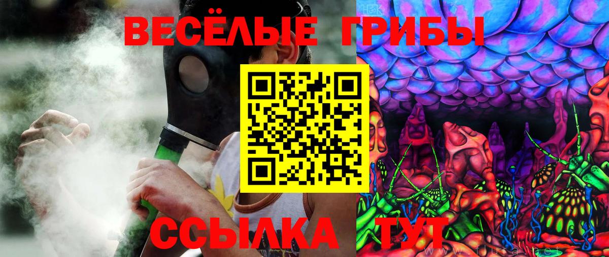 Псилоцибиновые грибы Cubensis Когалым